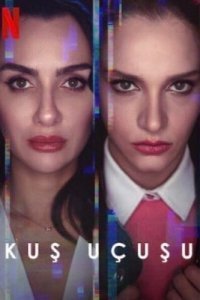 Полет птицы Полет птицы